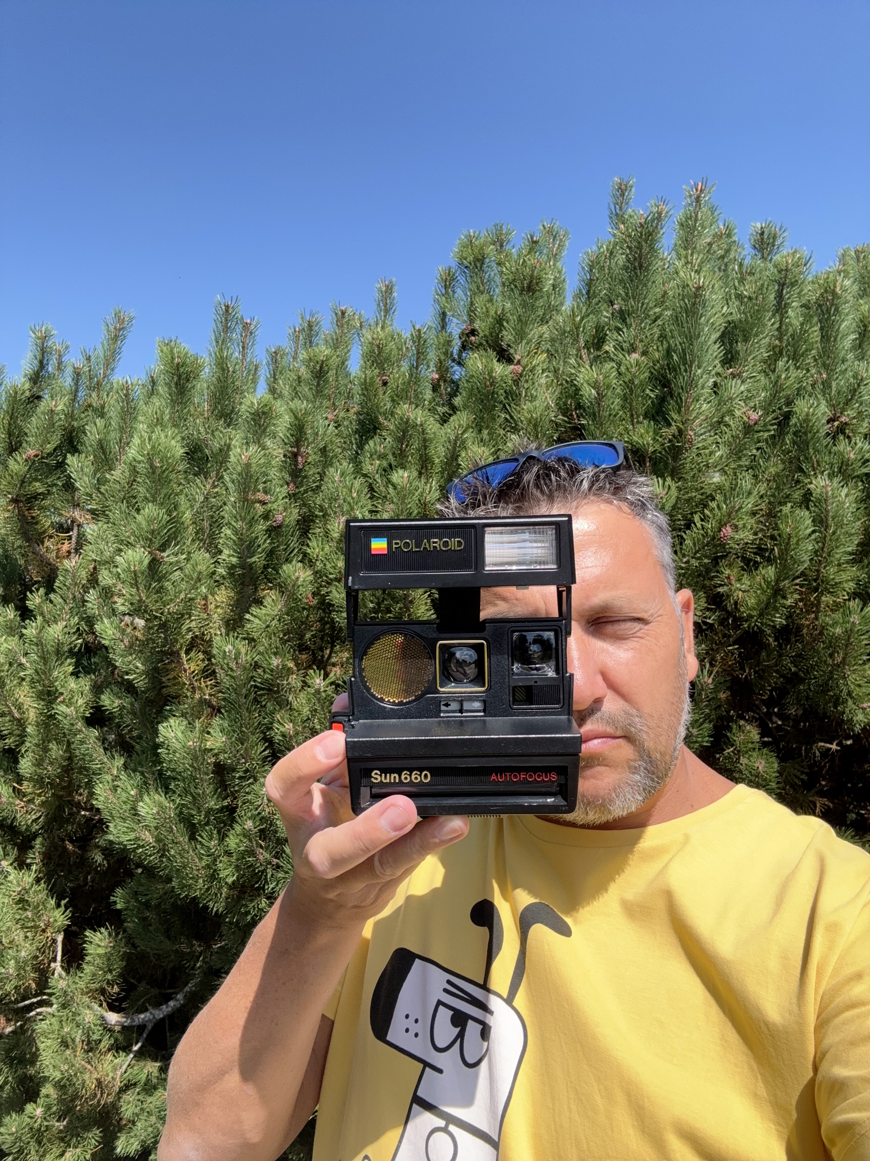 Self-portrait in a bright yellow t-shirt holding a vintage Polaroid Sun 660 AutoFocus instant camera up to my face. I have a beard, sunglasses resting on top of my head, and I stand in front of lush green evergreen shrubs under a clear blue sky. The image captures a playful meta moment of documenting the very camera used to take the vintage Polaroid photographs, shot in bright natural outdoor lighting.