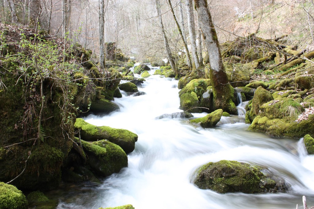 Gorges de Covatannaz - 086