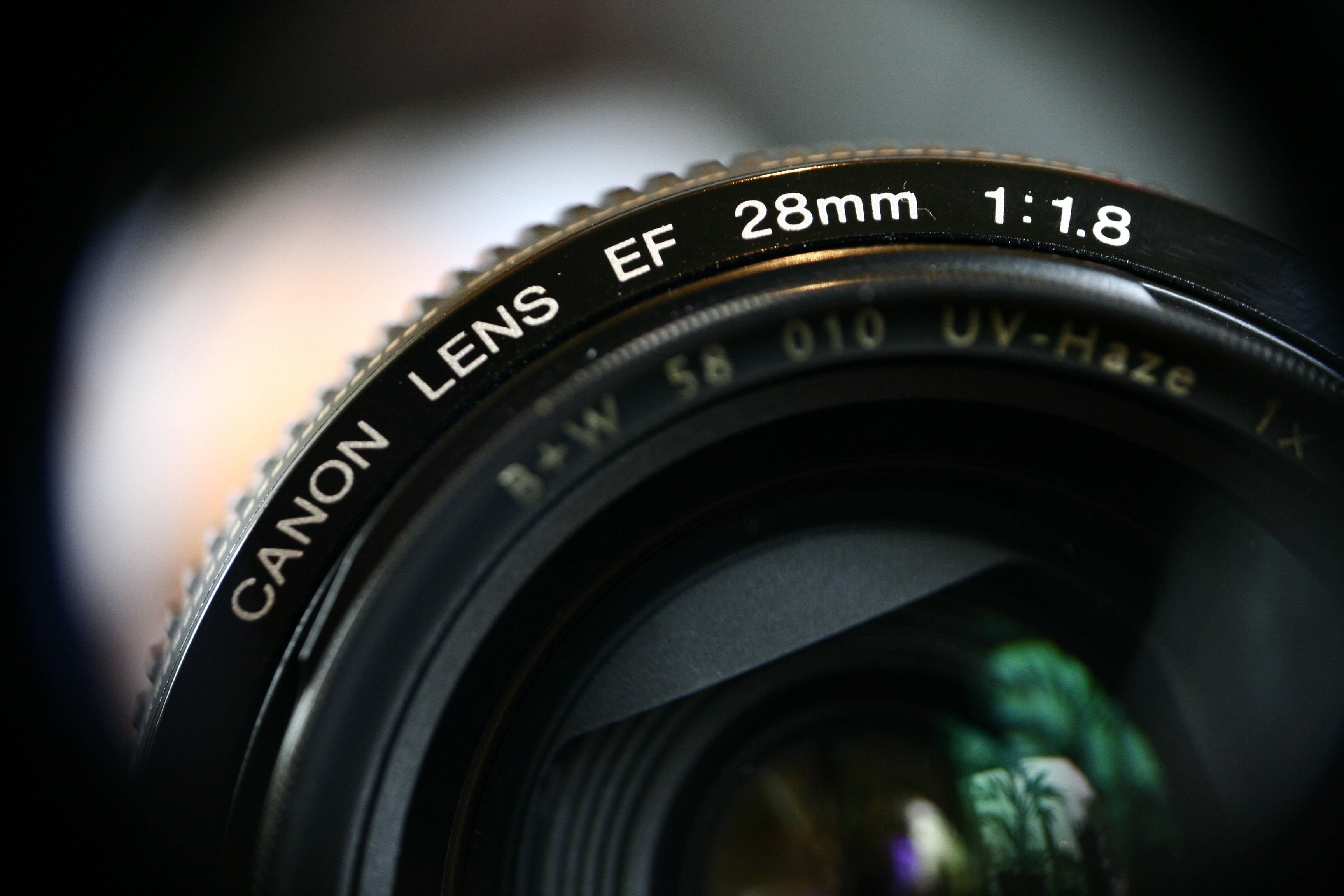 Shot with Raynox macro converter