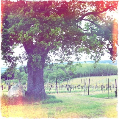2012-05-21-08-07