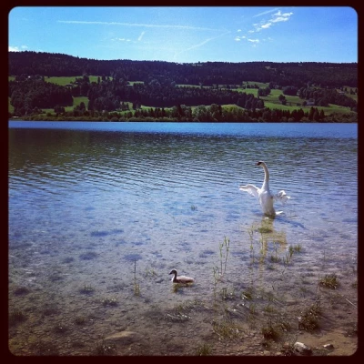 #ValleeDeJoux