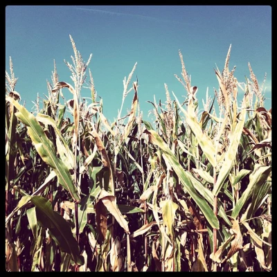 2012-09-10-08-31