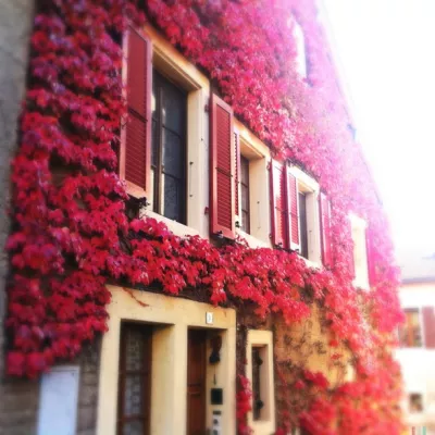 2012-10-22-08-49