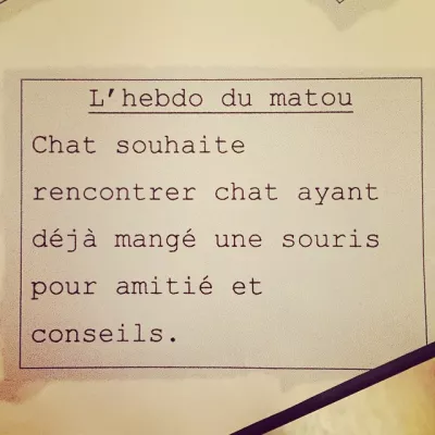 @BemolTheCat