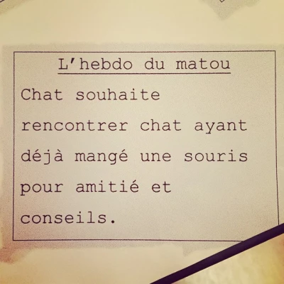 @BemolTheCat