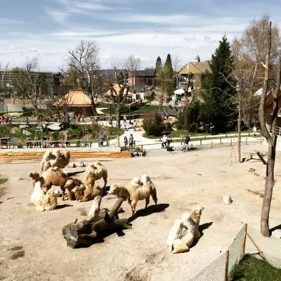 2015-04-12-11-11