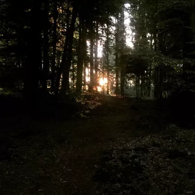 Run!