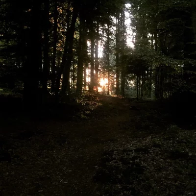 Run!