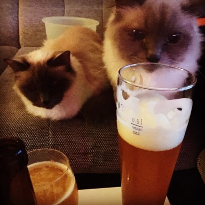 #hopsuisse #litsui