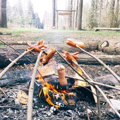 🌲🌲🔥👨‍👩‍👧‍👧🌲🌲