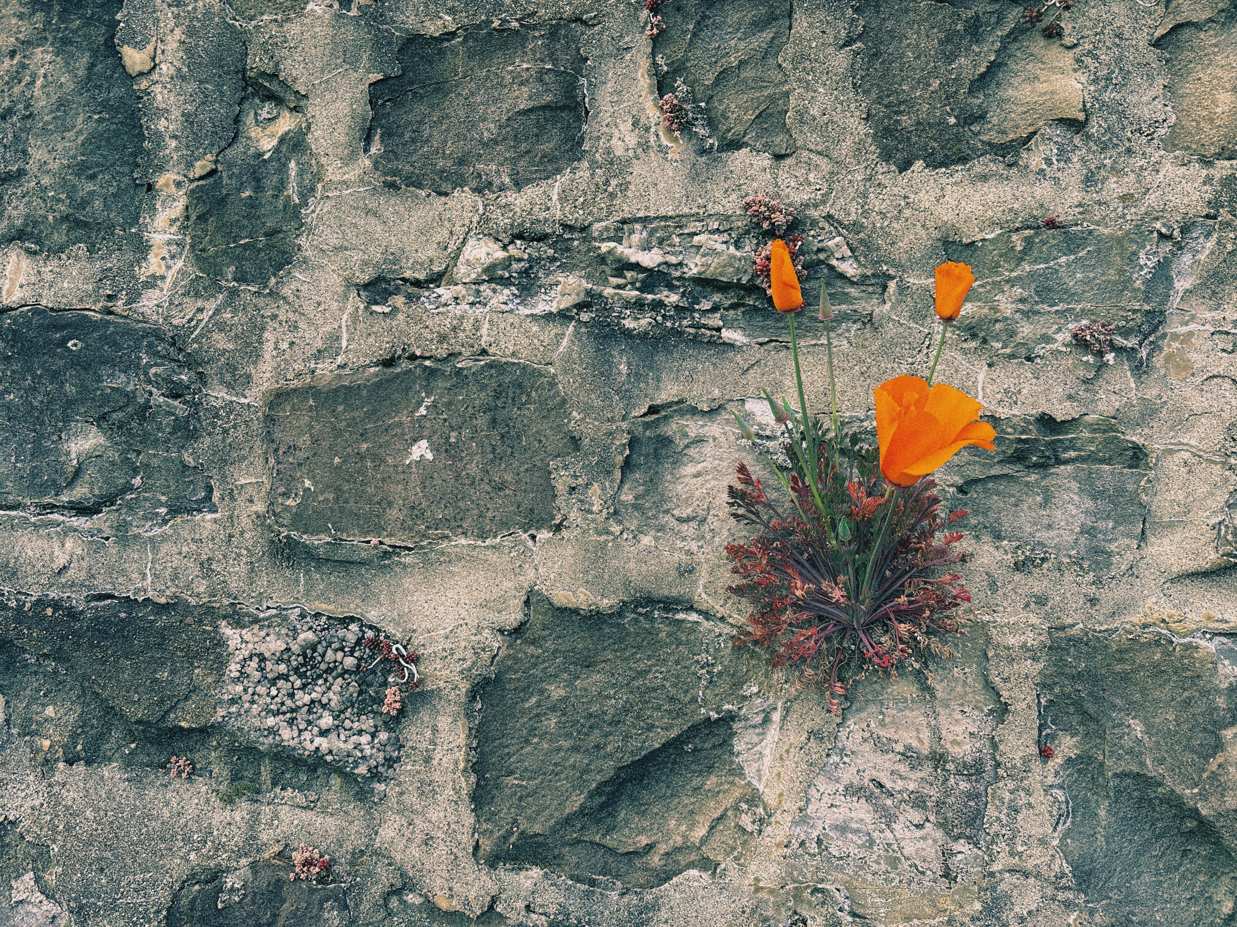 Orange on grey