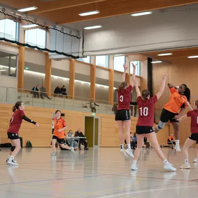 HBC Moudon - TV Birsfelden (M18)