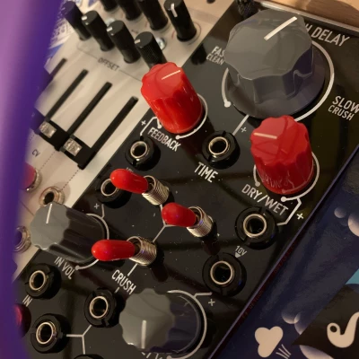 d19bt