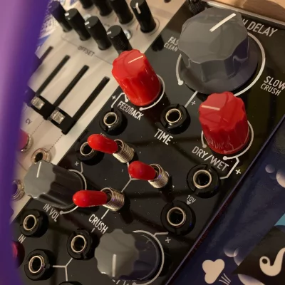 d19bt