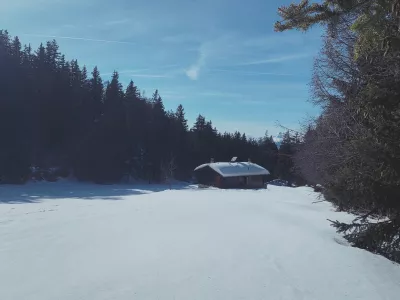 ptibd