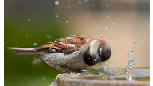 25 photos prisent au bon moment