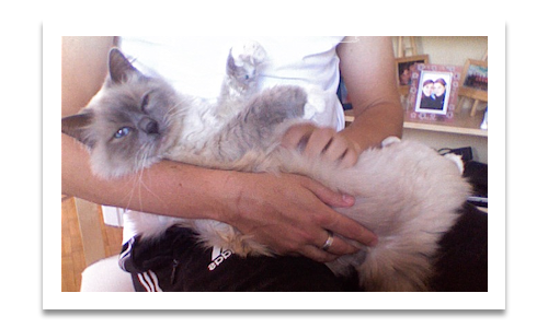 Bémol en pleine séance de câlins