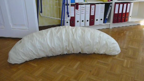 Le ver de l’espace