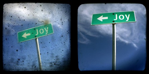 Joy, diptych