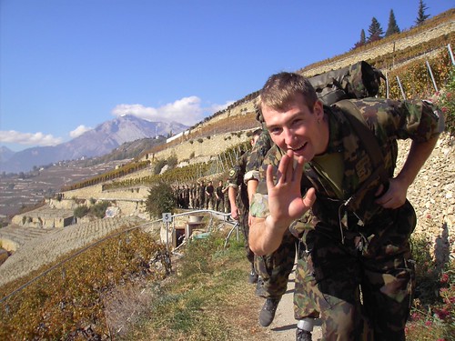 La colonne dans les vignes
