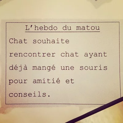 @BemolTheCat