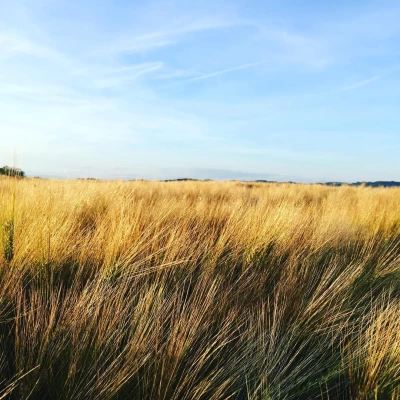 #strava #running