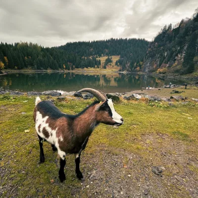 Lake Chavonnes